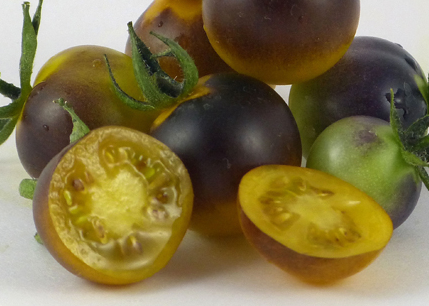 Tomato - Blue Goldberry - Cherry - 20 Seeds