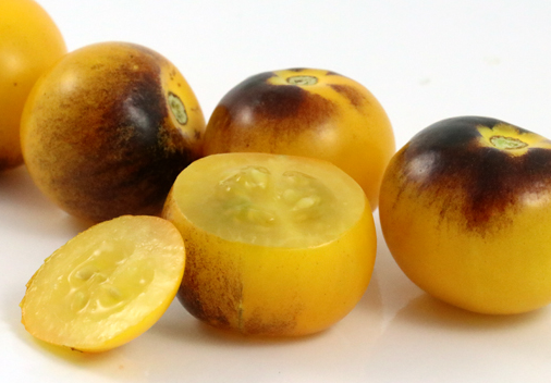 Tomato - Bunny Blues - Cherry - 20 Seeds