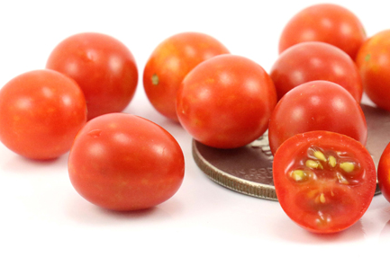 Tomato - Candyland - Cherry - 20 Seeds