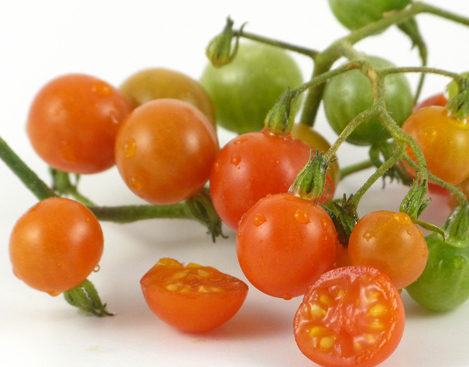 Tomato - Cuatomate - Cherry - 20 Seeds