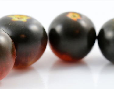 Tomato - Dancing with Smurfs - Cherry - 20 Seeds