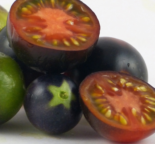 Tomato - Dancing with Smurfs - Cherry - 20 Seeds