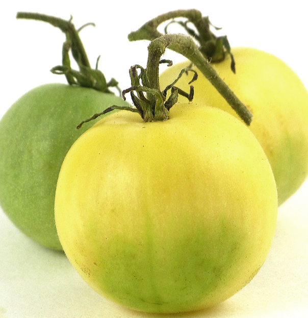Tomato - Ghost Cherry - Cherry - 20 Seeds
