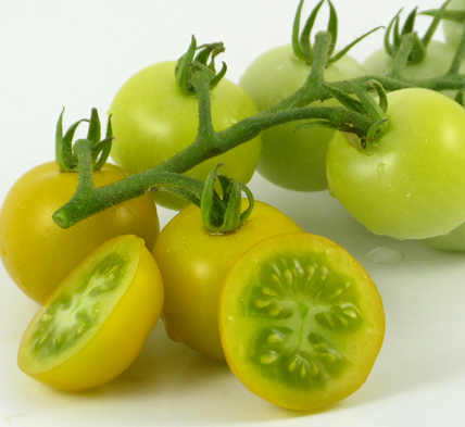 Tomato - Gobstopper - Cherry - 20 Seeds