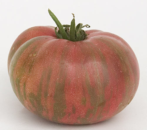 Tomato - Adelaide Festival - Beefsteak / Oblate - 20 Seeds