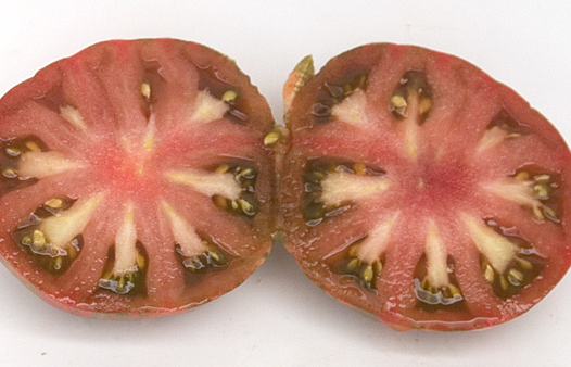 Tomato - Adelaide Festival - Beefsteak / Oblate - 20 Seeds
