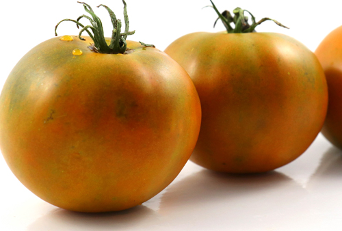 Tomato - Bayou Sun - Beefsteak / Oblate - 20 Seeds