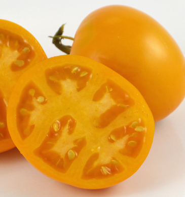 Tomato - Coastal Pride Orange - Beefsteak / Oblate - 20 Seeds