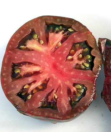 Tomato - Dusky Maiden - Beefsteak / Oblate - 20 Seeds