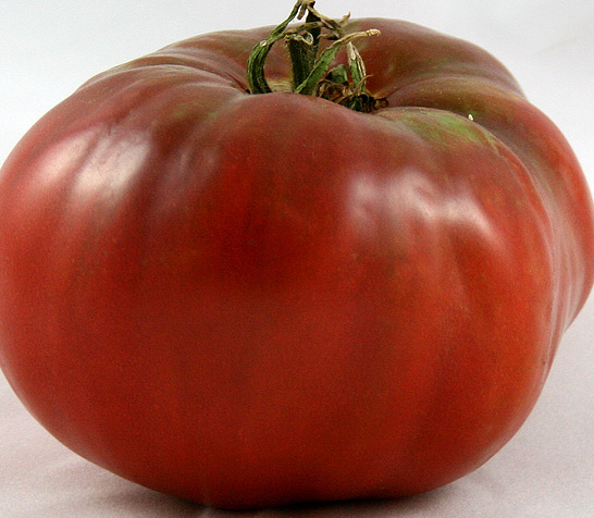 Tomato - Noire Charbonneuse - Beefsteak / Oblate - 20 Seeds