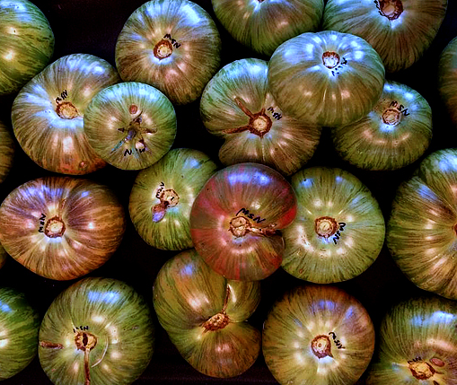 Tomato - Spectrum’s Surpriz - Beefsteak / Oblate - 20 Seeds