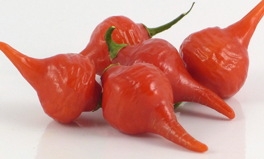 Pepper - Biquinho Iracema (Pimenta Iracema Biquinho) - Sweet - 50 seeds