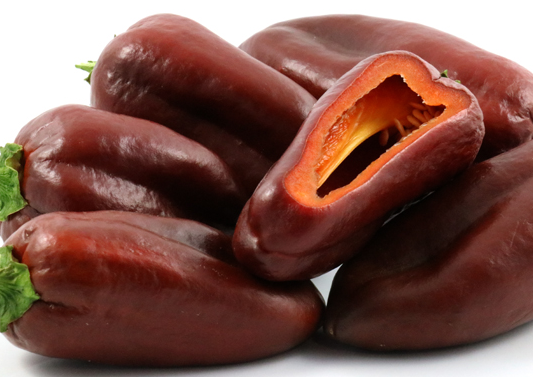 Pepper - Chocolate Snacker - Sweet - 50 seeds