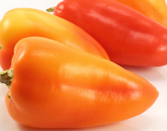 Pepper - Ferenc Tender - Sweet - 50 seeds