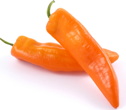 Pepper - Giant Sweet Devil’s Horn - Sweet - 50 seeds