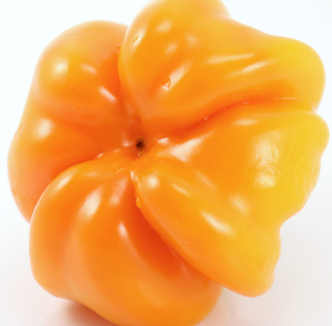 Pepper - Papaccella Napoletana Giallo - Sweet - 50 seeds