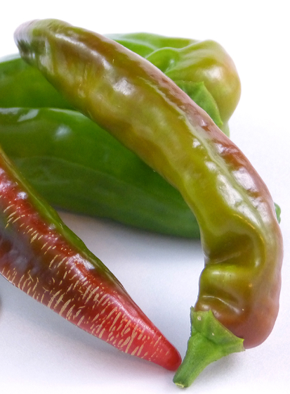 Pepper - Peperone di Senise - Sweet - 50 seeds