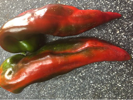 Pepper - Prairie - Sweet - 50 seeds