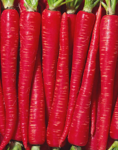 Kyoto Red Carrot 80 Seeds