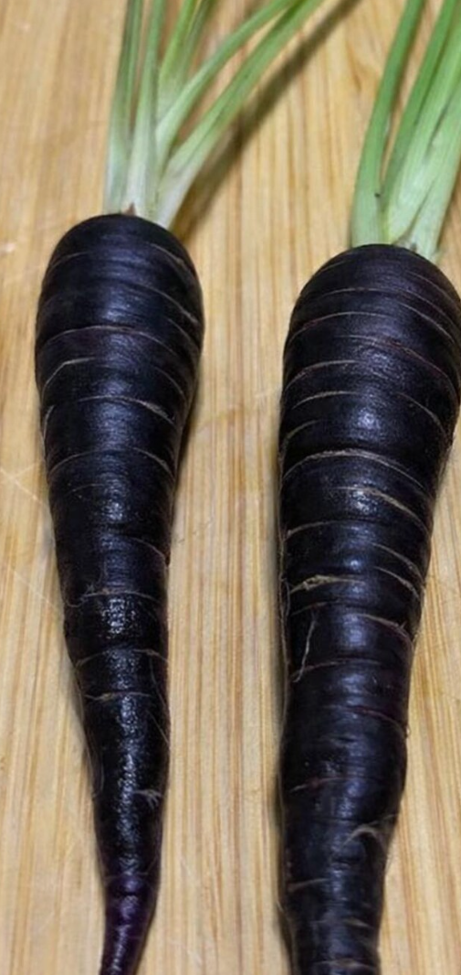Pusa Asita Black Carrot 80 Seeds