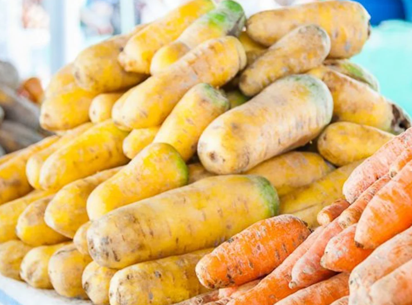 Uzbek Golden Carrot 80 Seeds