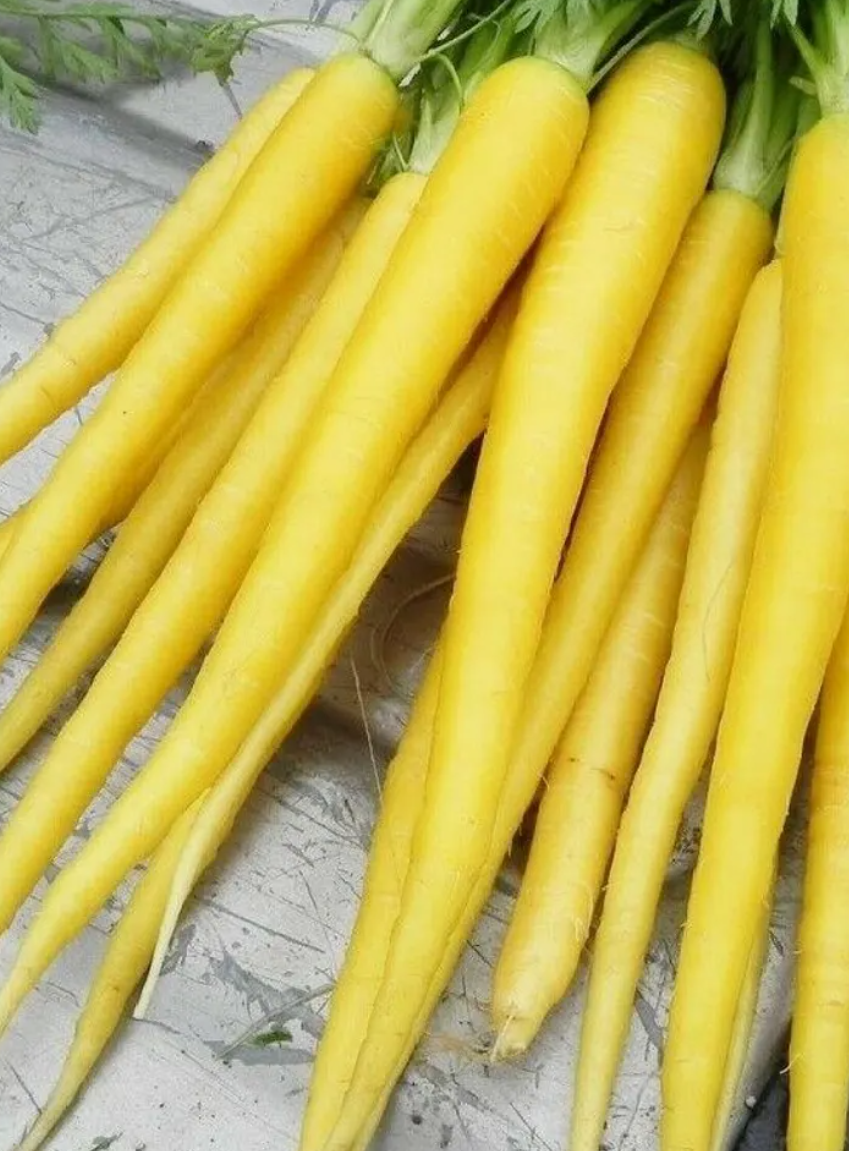 Solar Yellow Carrot 80 Seeds