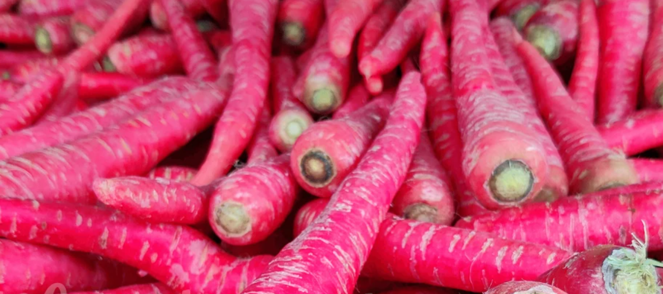 Atomic Red Carrot 80 Seeds