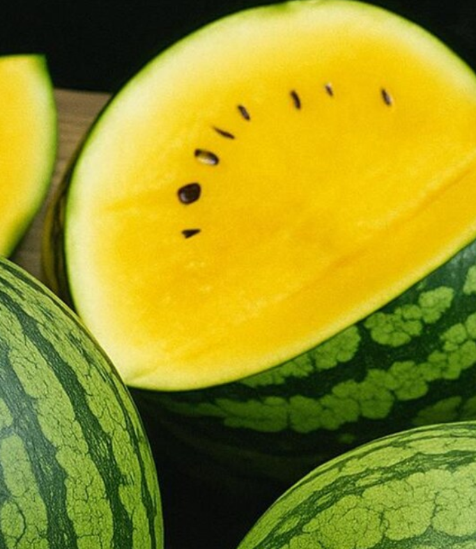 Watermelon Yellow Gem 25 Seeds