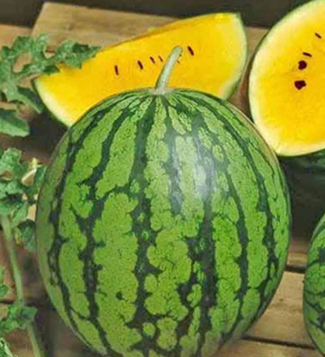 Watermelon Yellow Crimson 25 Seeds
