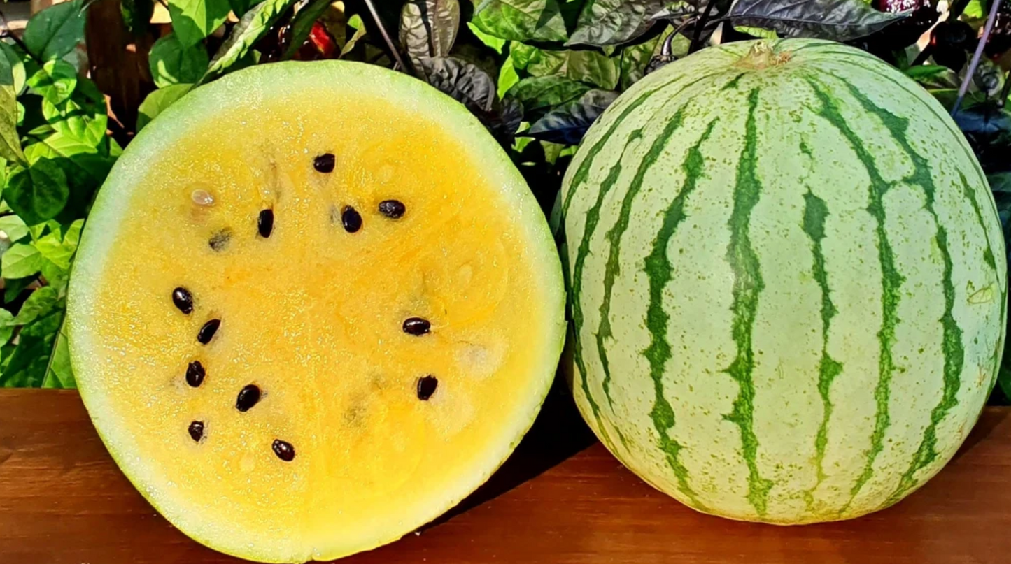 Watermelon  Early Moonbeam 25 Seeds