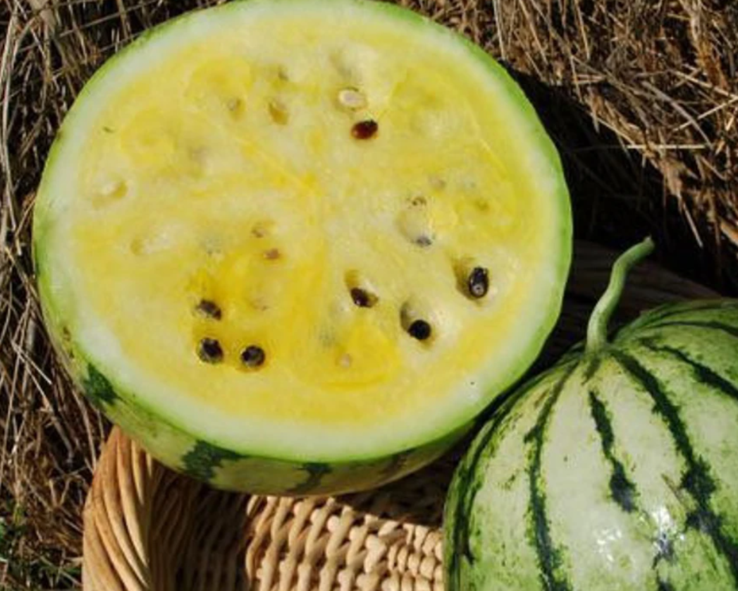 Watermelon  Early Moonbeam 25 Seeds