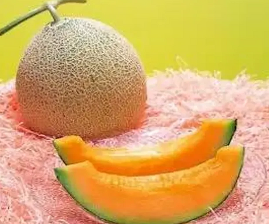 Melon Yubari King 20 Seeds