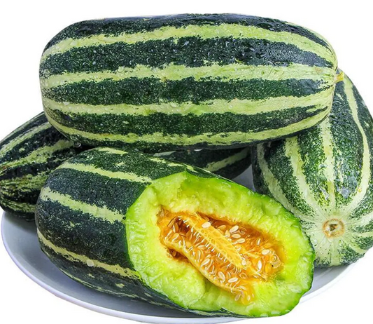 Melon Atlas 20 Seeds