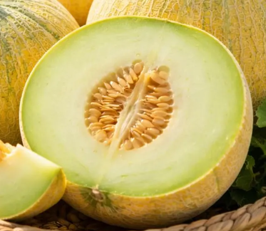 Melon Ha’ogen 20 Seeds