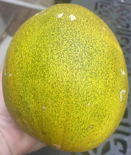 Melon Afghani 20 Seeds