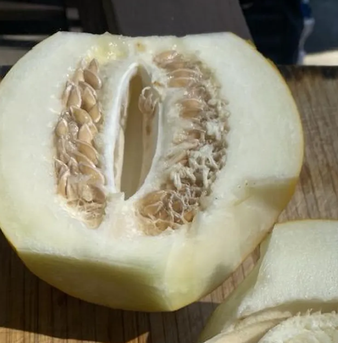 Melon Afghani 20 Seeds