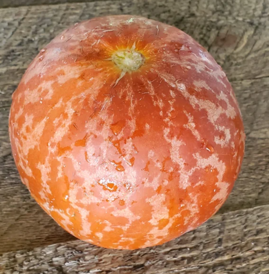 Melon Tigger 20 Seeds