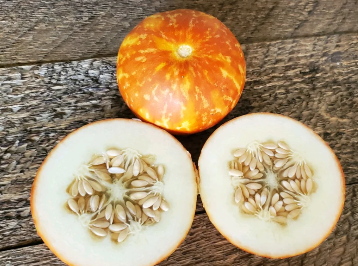 Melon Tigger 20 Seeds