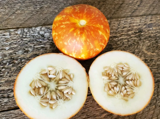 Melon Tigger 20 Seeds