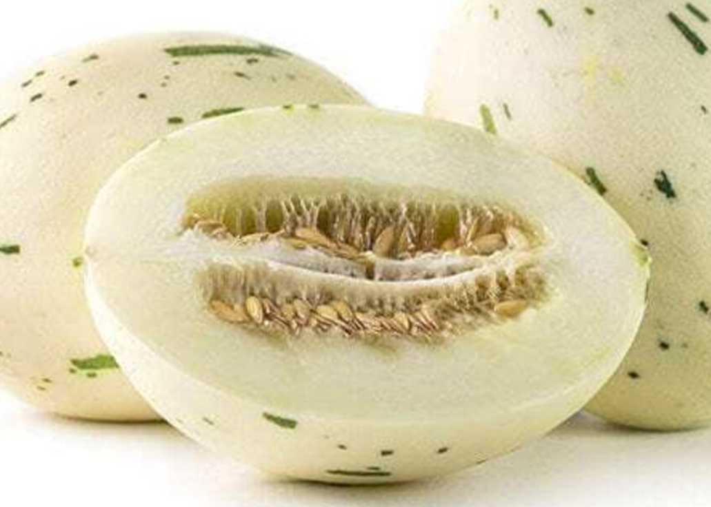 Melon Gaya 20 Seeds