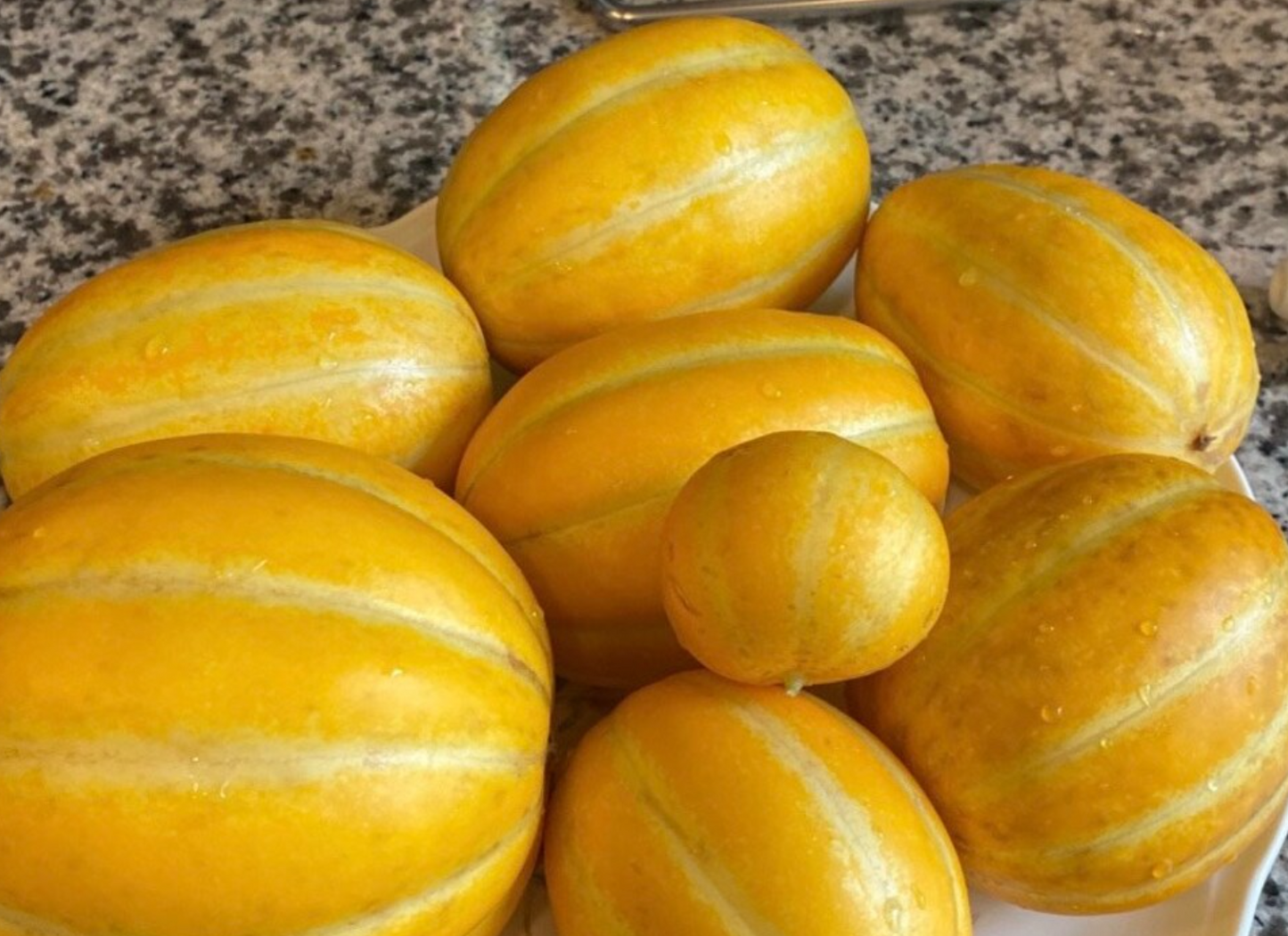 Melon Korean 20 Seeds