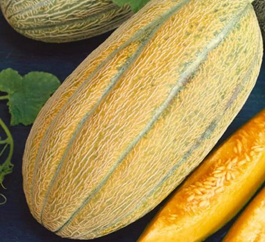 Melon Banana 20 Seeds