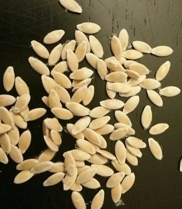 Melon Vietnam Dua Gang 20 Seeds