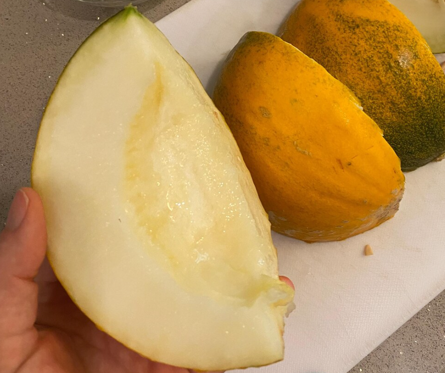 Melon Kazakh 20 Seeds