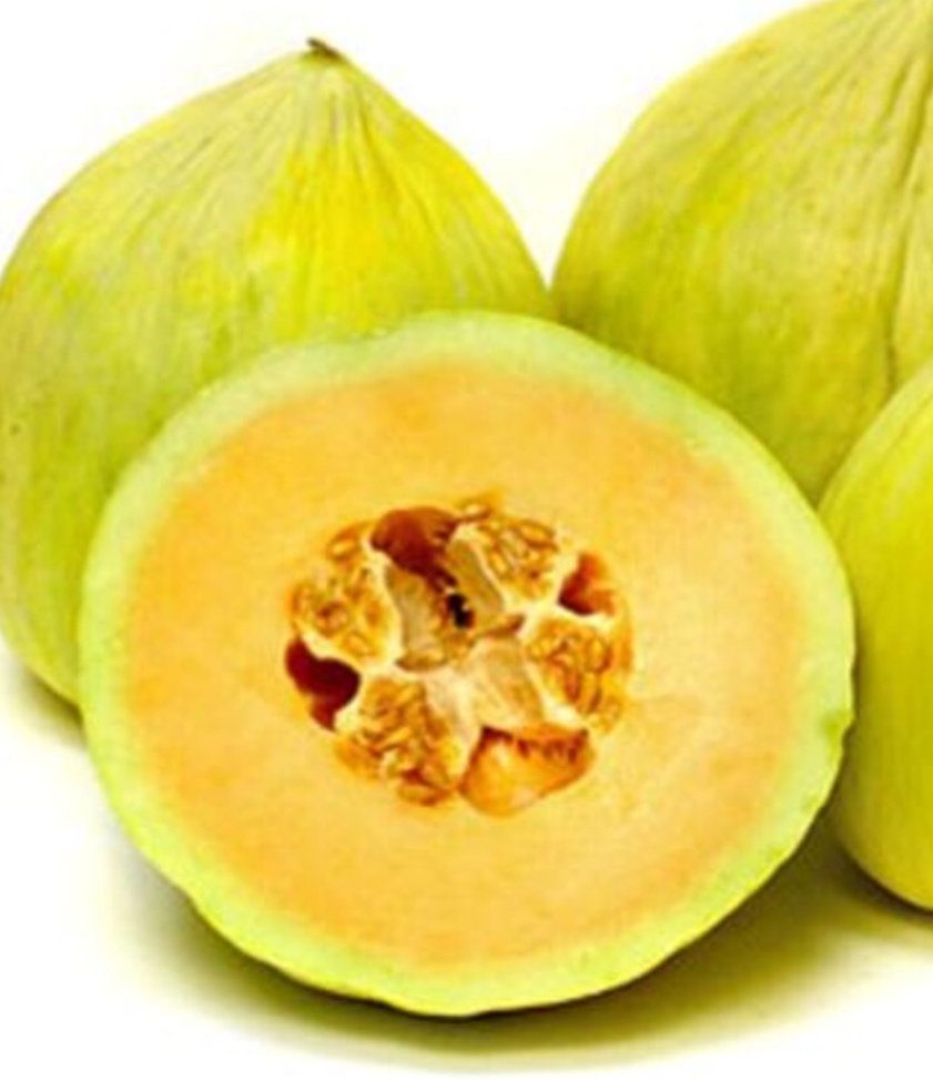 Melon Crenshaw 20 Seeds