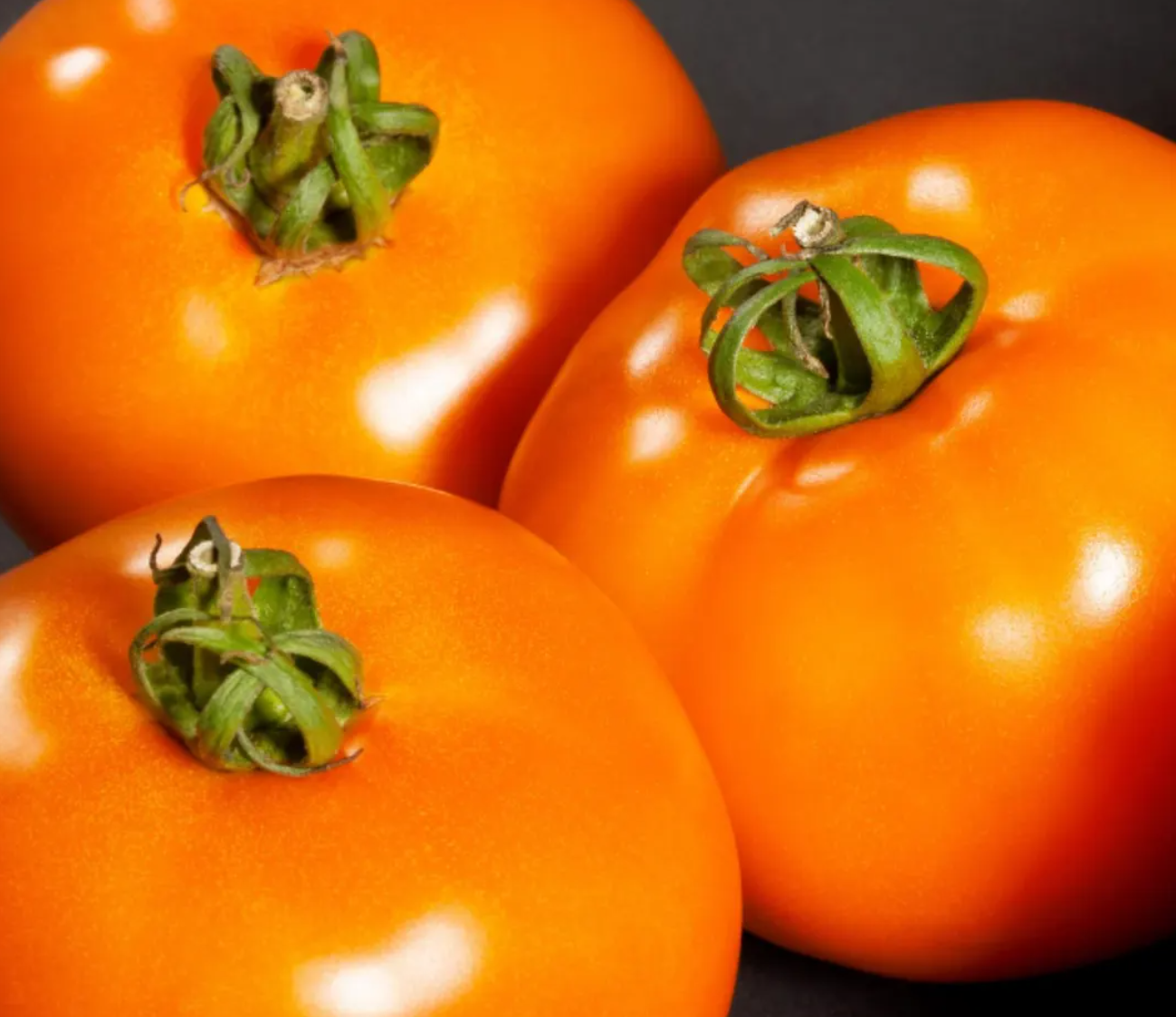 Tomato Starter Plant Variety 9 - Pack