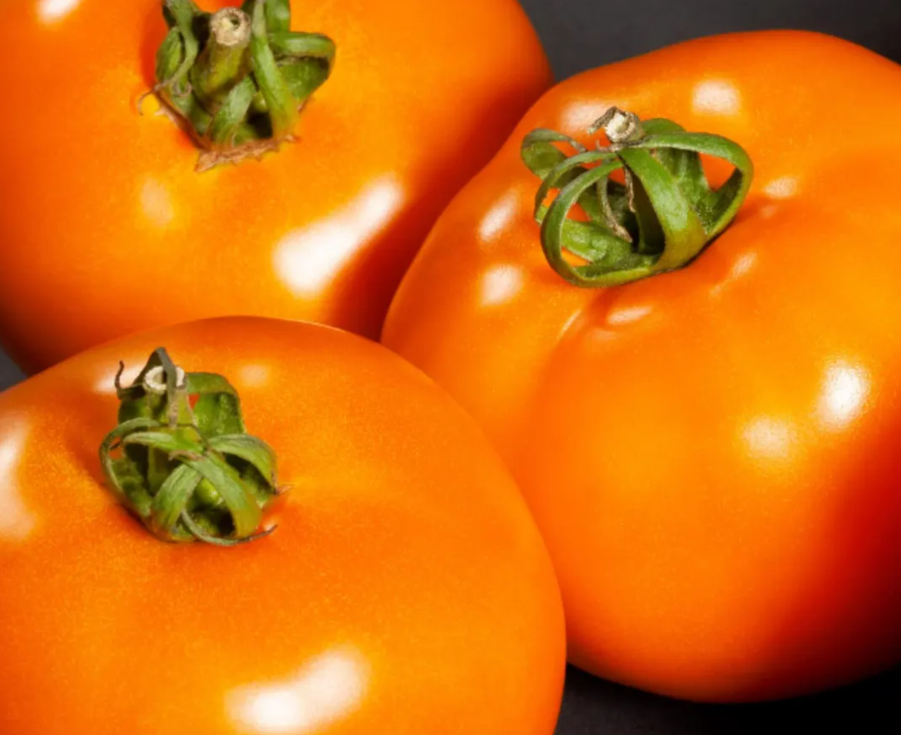 Heirloom Slicer Tomato Starter Plant Variety 4-Pack