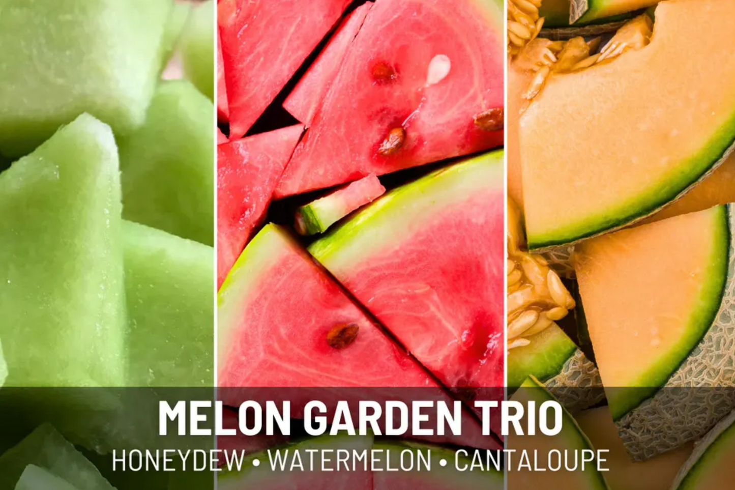 Melon Seed Collection – Heirloom Garden 3 - Pack