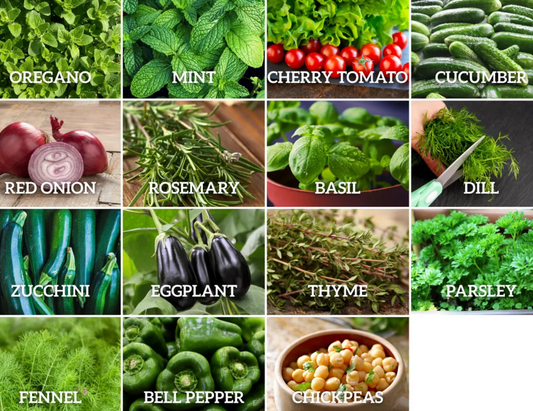 Greek Garden Seeds Collection – 15 - Pack