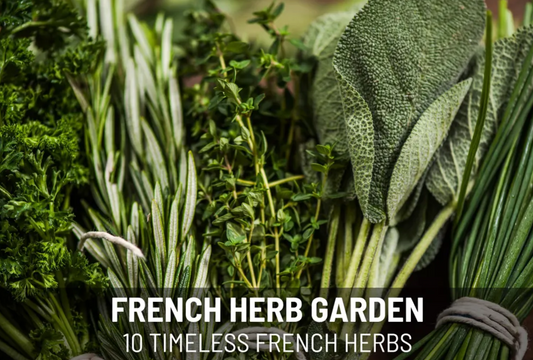 French Garden Seed Collection – 10 - Pack